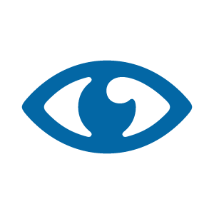Icon of eye 