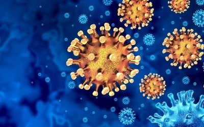 COVID-19 Virus