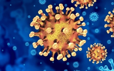 Coronavirus Updates Article