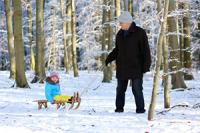 winter blahs, man pulling a child in a sled.