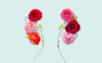 Kidneys illustrated using flowers