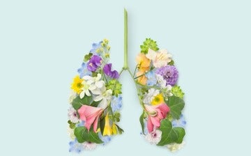 Lungs illustrated using flowers