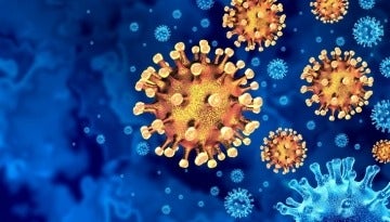 COVID-19 Virus