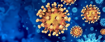 Coronavirus Updates Article
