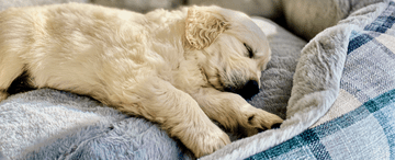 Sleep and Its Effect on Blood Pressure