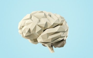 Origami brain